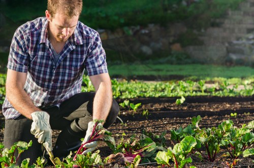 Gardener with tools in a residential garden