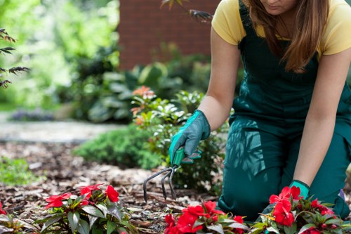 Personal protective equipment laid out for gardeners
