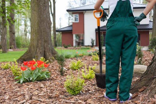 Our team of expert gardeners